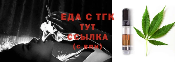 индика Касимов
