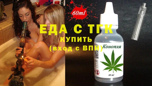 индика Касимов