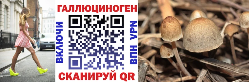 Галлюциногенные грибы ЛСД  Купить закладки  Руза 